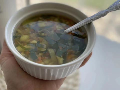 Zeleninová polévka s medvědím česnekem