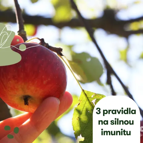 Jak posílit imunitu na podzim? Tady jsou tři základní pravidla!