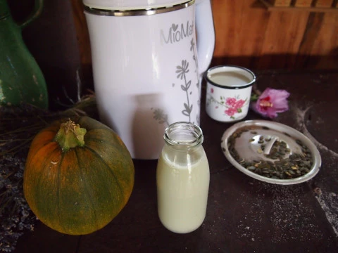 Rostlinné mléko z dýňových semínek RAW