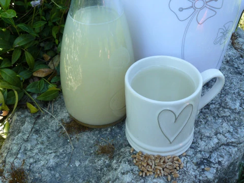 Pšeničné rostlinné mléko